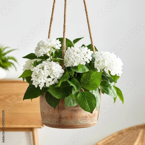 Plants in a Hanging Pot With White Flowers and Green Leaves in a Modern Room ...