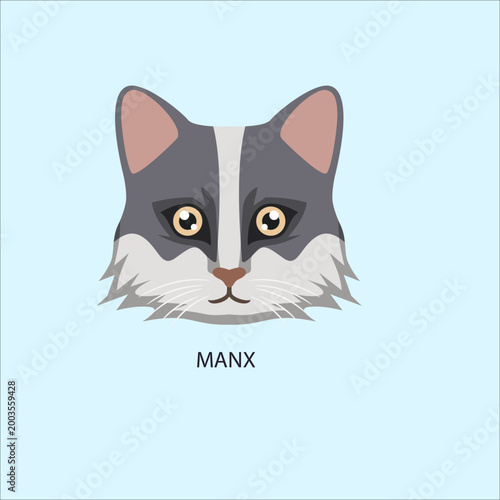 Obraz na plátně Manx Cat Breed Face Portrait