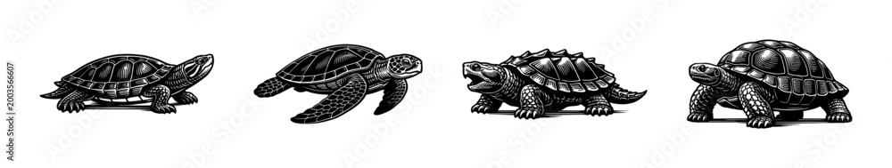 Fototapeta premium Black and white vector illustrations of turtles and tortoises in detailed silhouette style