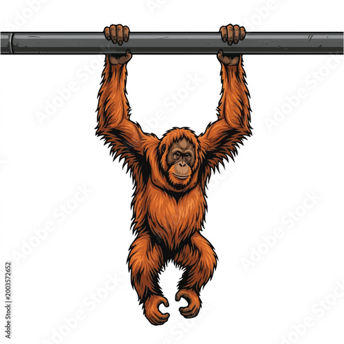 Illustration of a playful orangutan hanging from a horizontal bar with both hands.