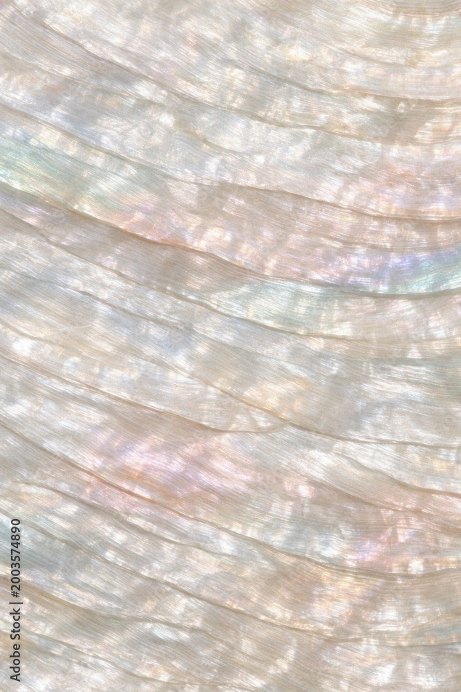 Fototapeta premium Mother of Pearl Shell Texture Seamless Pattern. Close-up nacre shell surface detail. Iridescent organic material design. Realistic pearl shell texture background. Detailed glossy macro close-up. 
