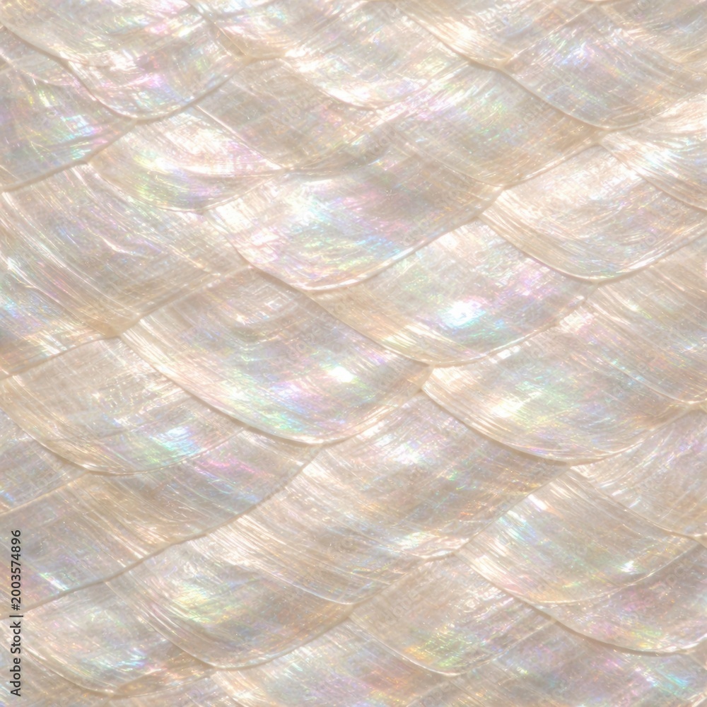 Fototapeta premium Mother of Pearl Shell Texture Seamless Pattern. Close-up nacre shell surface detail. Iridescent organic material design. Realistic pearl shell texture background. Detailed glossy macro close-up. 