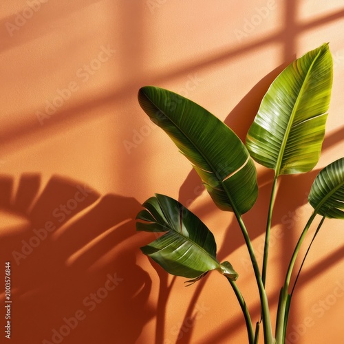 Sunlight Shines Through Plant Leaves Creating Shadows on Orange Wall in Indoo...