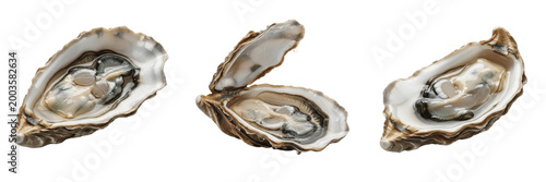 Tableau sur toile Set and collection of open oyster shell isolated on white transparent png backgr
