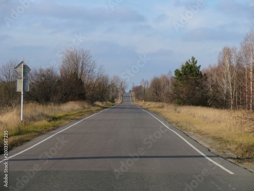 Bilde på lerret scenic roadways, a long, straight road lined with grass and bare trees under a c