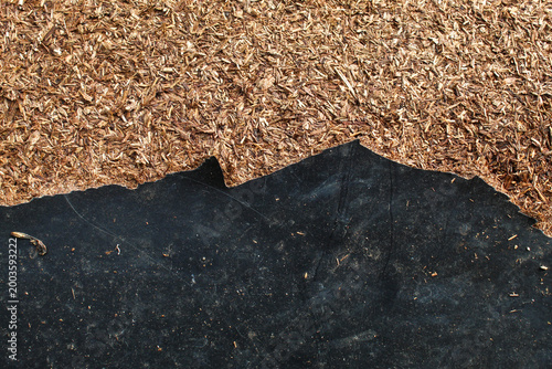 Tableau sur toile Wood chip texture and peeling black layer
