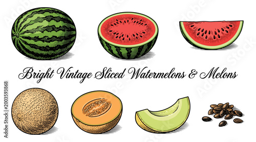 Vintage hand drawn engraving vector set of watermelons and melons including whole fruits, halves, and slices isolated on white background