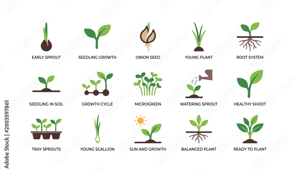 Fototapeta premium Seedling and sprout icons illustrating early growth and roots