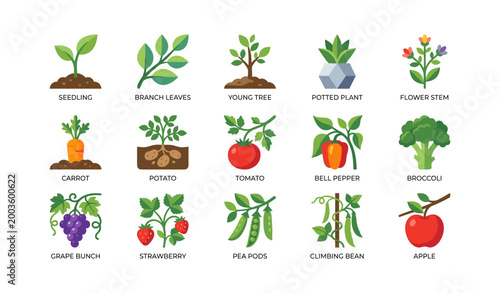 Plant and produce icons showing seedlings fruits and vegetables