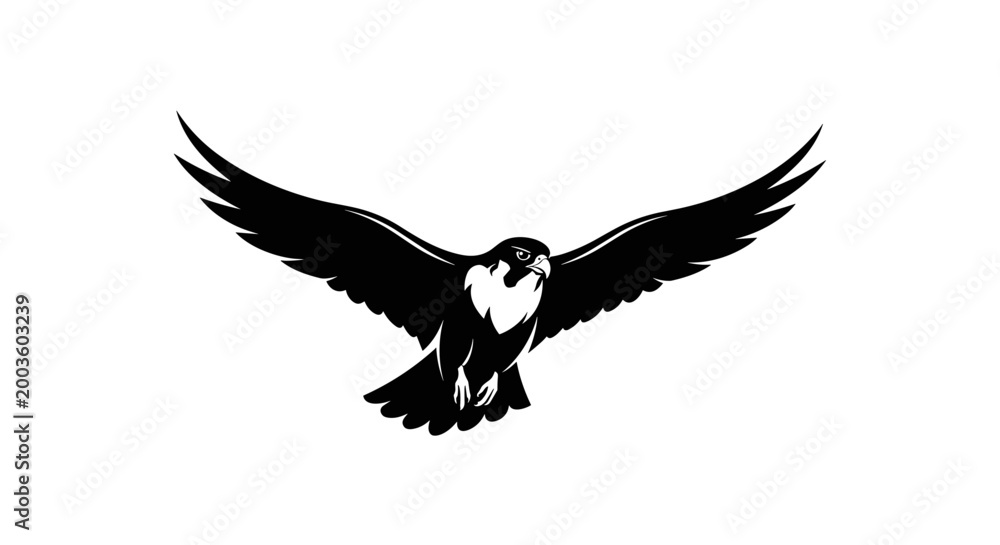 Fototapeta premium Bird in Flight with Spread Wings.