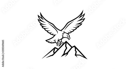 Eagle with outstretched wings flying high.