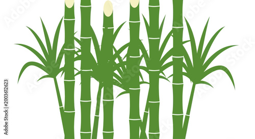 Green Bamboo Stalks with Leaves on White Background, Minimalist Illustration