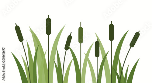 Green Cattail Reeds and Leaves on White Background