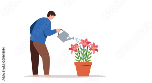 Person watering pink lily flowers in pot with watering can. Flat vector illustration