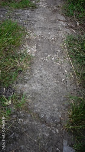 Dry Cracked Dirt Path with Grass in Rural Landscape