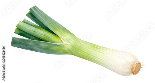 Obraz na plátně fresh leek vegetable, green onion leek, organic farm produce, healthy cooking in