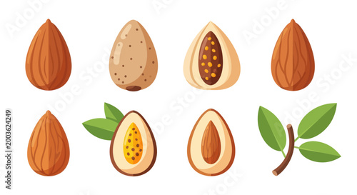 Almonds whole sliced and leafy branch