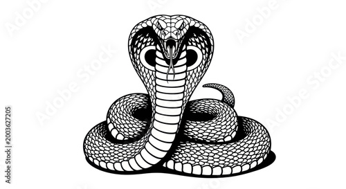 Fierce Cobra Snake Attack Pose, Venomous Reptile Illustration, Black and White