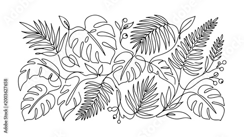Abstract continuous line art drawing of exotic tropical foliage, an organic bohemian style botanical pattern with monstera and palm leaves
