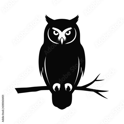 Owl sits perched on a tree branch.
