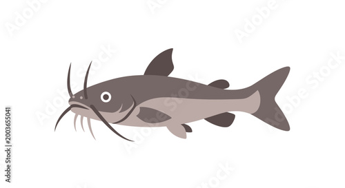 Cartoon Catfish Fish Illustration - Aquatic Animal with Whiskers