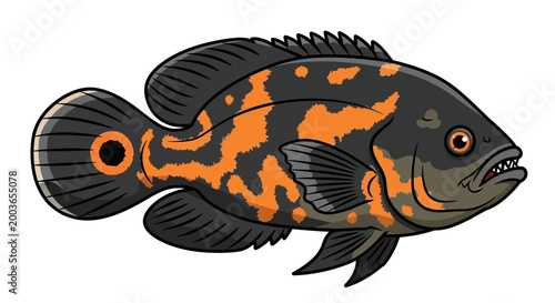 Bild auf Leinwand Colorful Oscar Fish Illustration - Tropical Freshwater Aquarium Pet