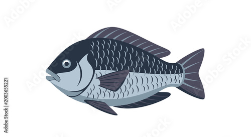 Illustration of a dark grey fish with detailed scales and fins, isolated on white.