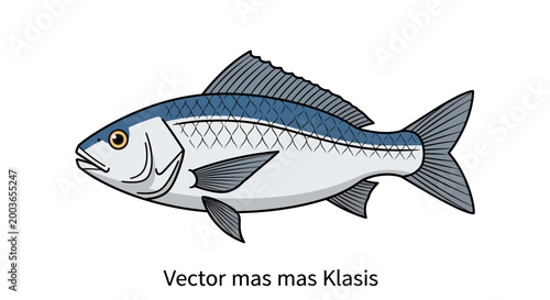 Illustration of a single fish, vector graphic, isolated on white background