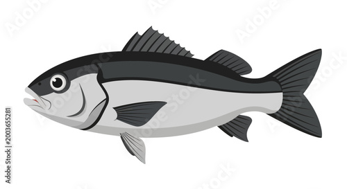 Illustration of a single, realistic-looking fish with grey and black scales against a white background.