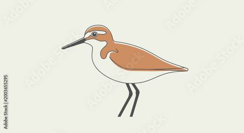 Fotografija Minimalist Illustration of a Sandpiper Bird