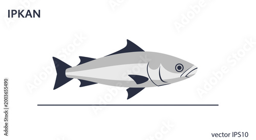 Stylized Fish Illustration - Vector Graphic