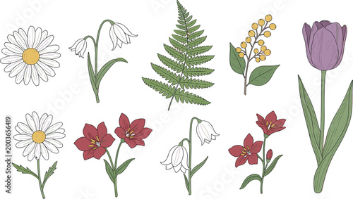Botanical flower and leaf vector set featuring daisy, tulip, fern and wildflowers in soft hand drawn illustration style