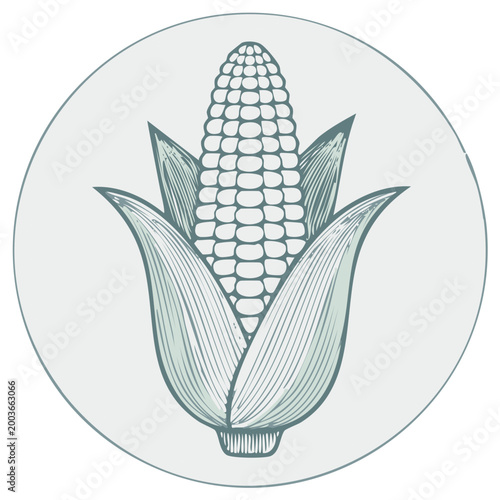 Illustrated ear of corn inside a circular frame, harvest season