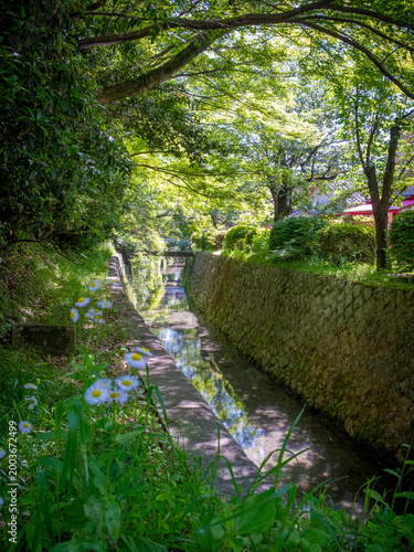The creek of the Philosophers' Path in Kyoto, Japan