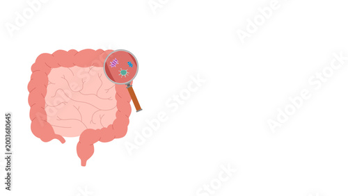 bacteria in intestines with magnifying glass for health education