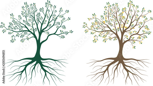 Tree with roots vector illustration set, detailed botanical trees in green and autumn colors, nature ecology design concept