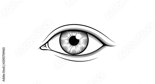 a detailed illustration of a human eye.