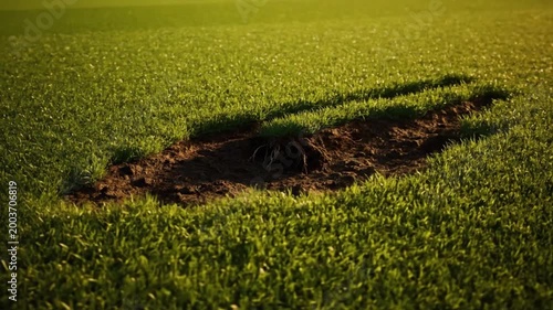 Cinematic reverse motion close-up of a grass divot returning to the soil on a lush golf fairway at sunset, symbolizing restoration and lawn maintenance.