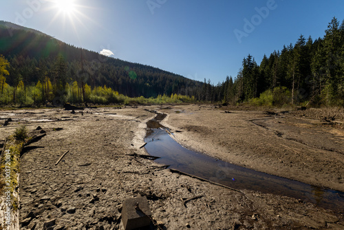 Fotografie Bright sun flare over mud flats and tree stumps at Buntzen Lake British Columbia