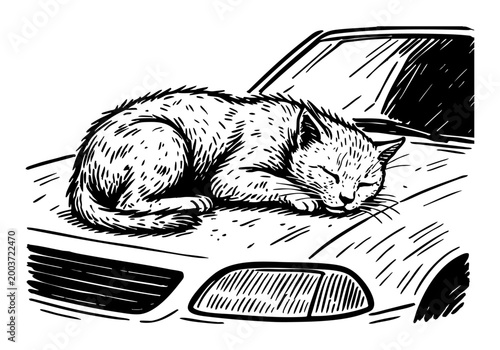 Stray Cat hand drawn simple sketch vector illustration