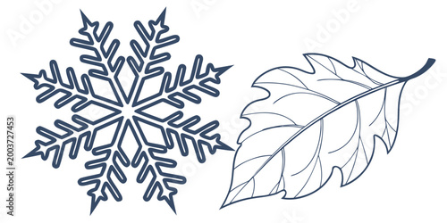 Minimalist linear illustration of a detailed snowflake and a deciduous leaf with snowflake seasonal contrast deciduous botanical minimalist isolated wintertime autumnal monochrome delicate