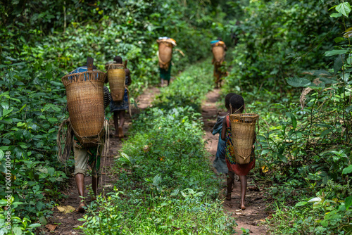 Ba Aka pygmy tribe walking through the rainforest around Dzanga Sangha in the Central African Republic