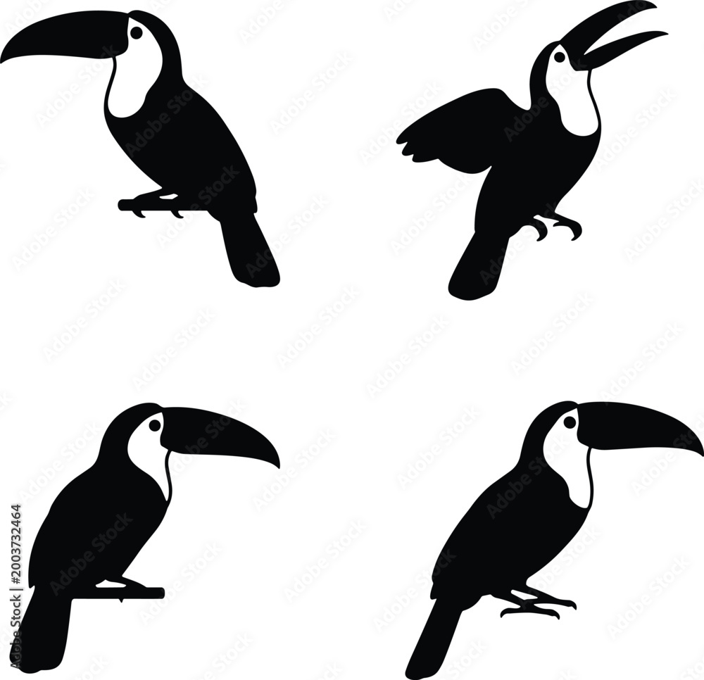 Fototapeta premium Toucan Tropical Bird Silhouette Icon Set, Vector, Line Art, Illustration