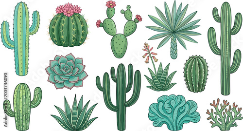 Detailed Botanical Illustration Set of Diverse Green Cacti and Succulent Plants Including Saguaro and Aloe Isolated on White Background