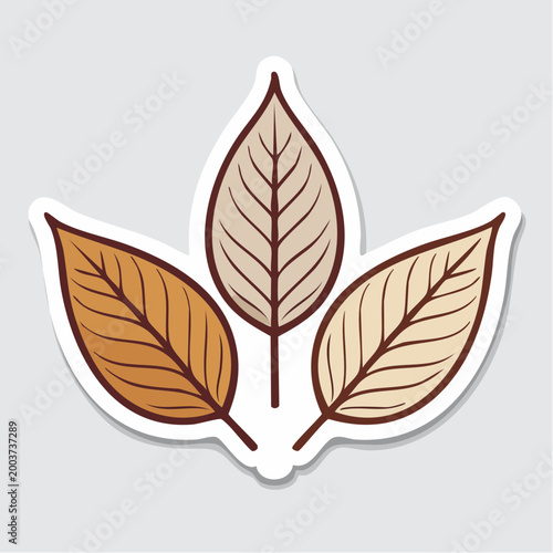 Autumn Leaves Illustration