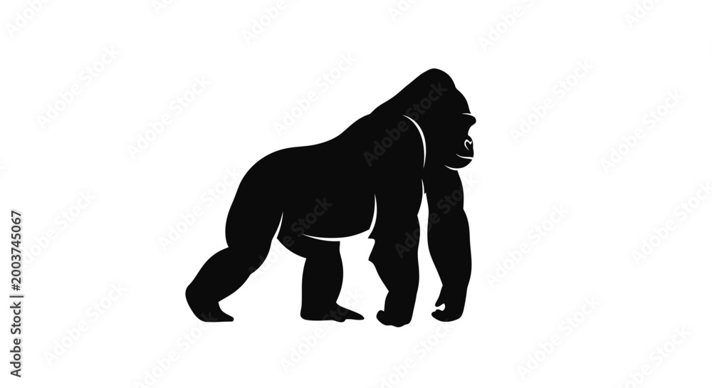 Fototapeta premium Black silhouette of a gorilla 5.