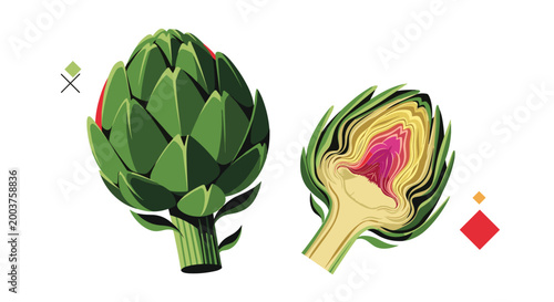 Detailed illustration of two green artichokes with one shown whole and the other sliced in half to reveal the inner heart.
