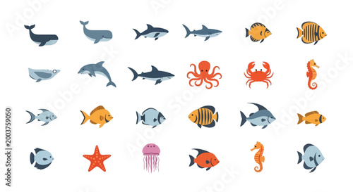 Marine Life Collection