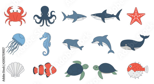 Photography Cute Ocean Animals Collection