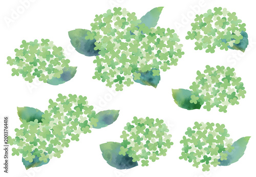 水彩風で描いた紫陽花のイラストセット